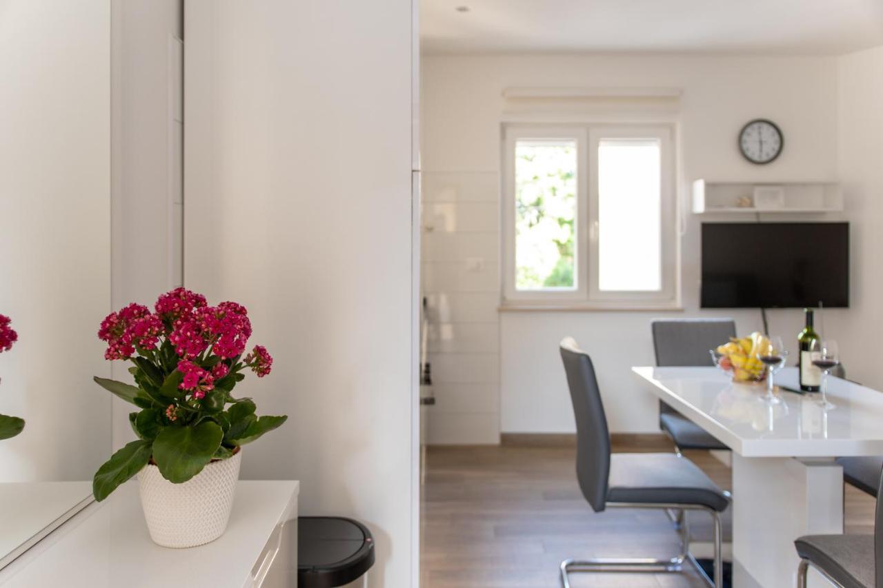 Apartman Palada Žminj Zewnętrze zdjęcie